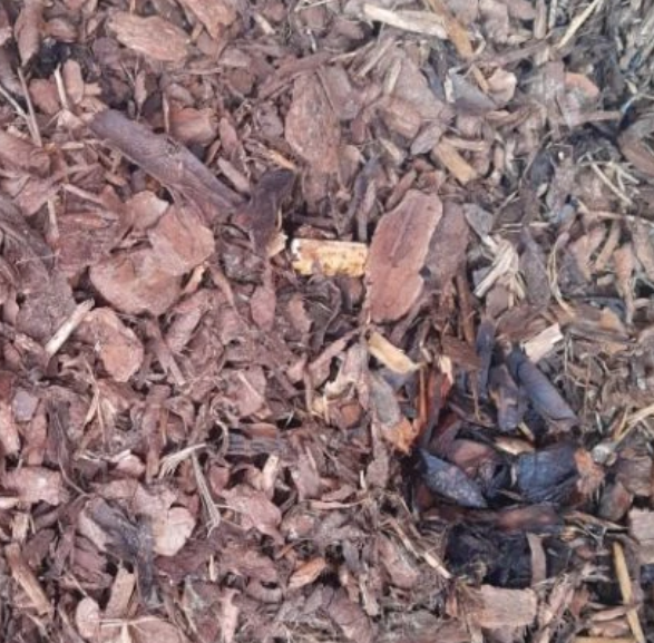 nederlandse-boomschors